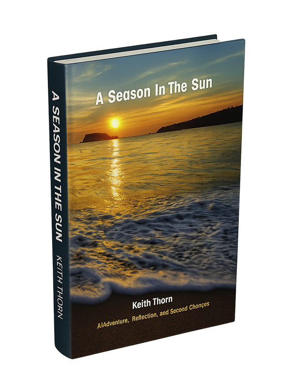 A Season In The Sun - Book