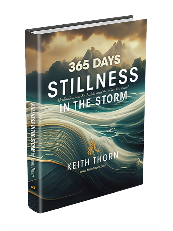 Stillness-in-the-Storm Stillness In The Storm