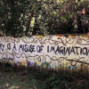 misuse-of-imagination_Keith-Thorn-author